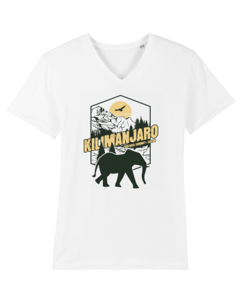 Kilimanjaro - Tanzania summit - Elephant White