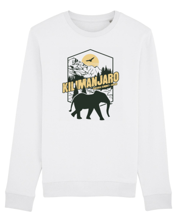 Kilimanjaro - Tanzania summit - Elephant White