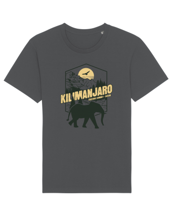 Kilimanjaro - Tanzania summit - Elephant Anthracite