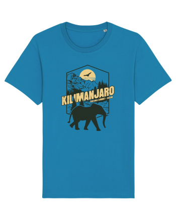 Kilimanjaro - Tanzania summit - Elephant Azur