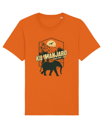 Kilimanjaro - Tanzania summit - Elephant Bright Orange