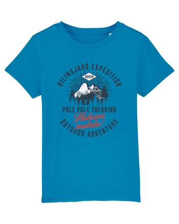 Kilimanjaro expedition - Pole pole trekking Azur