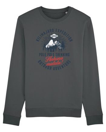 Kilimanjaro expedition - Pole pole trekking Anthracite