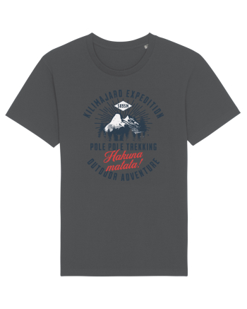 Kilimanjaro expedition - Pole pole trekking Anthracite