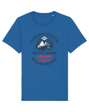 Kilimanjaro expedition - Pole pole trekking Royal Blue