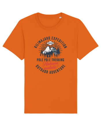 Kilimanjaro expedition - Pole pole trekking Bright Orange