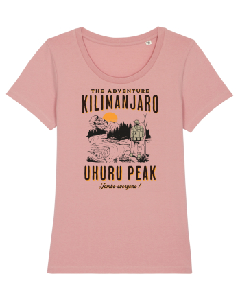 The adventure - Kilimanjaro - Uhuru Peak Canyon Pink