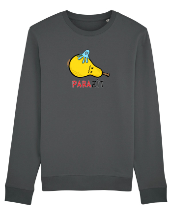 paraZIT Anthracite
