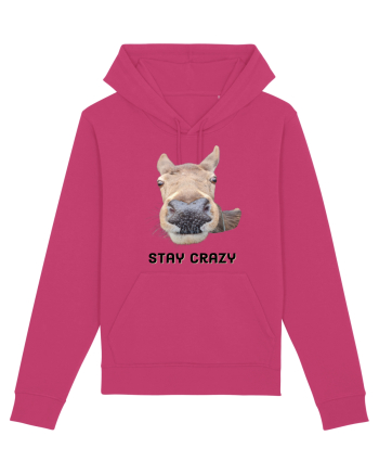 Stay crazy Raspberry