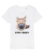 Stay crazy Tricou mânecă scurtă  Copii Mini Creator