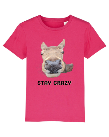 Stay crazy Raspberry