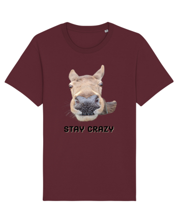 Stay crazy Burgundy