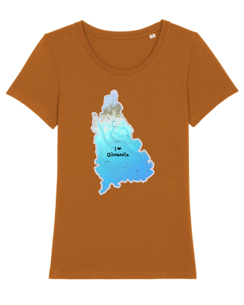Dâmbovița County Map Roasted Orange