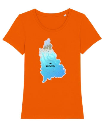 Dâmbovița County Map Bright Orange