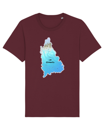 Dâmbovița County Map Burgundy