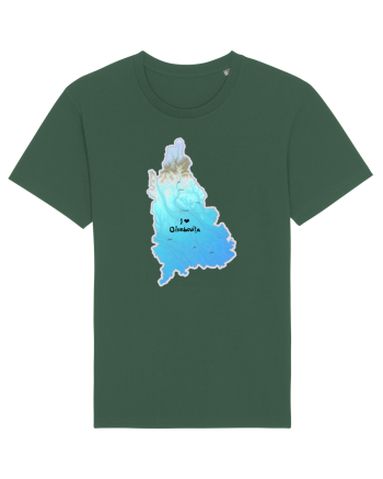 Dâmbovița County Map Bottle Green