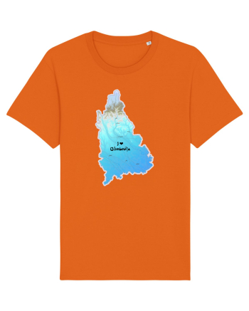 Dâmbovița County Map Bright Orange