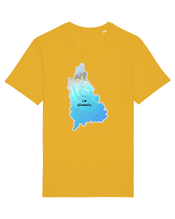 Dâmbovița County Map Spectra Yellow