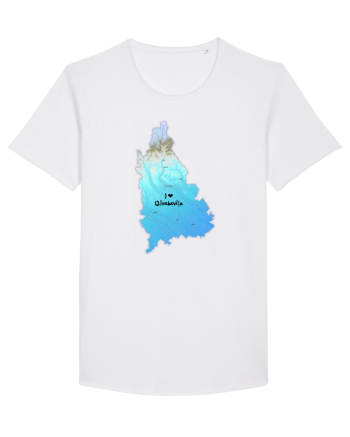 Dâmbovița County Map White
