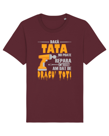Daca tata nu poate repara am dat de dracu' toti Burgundy