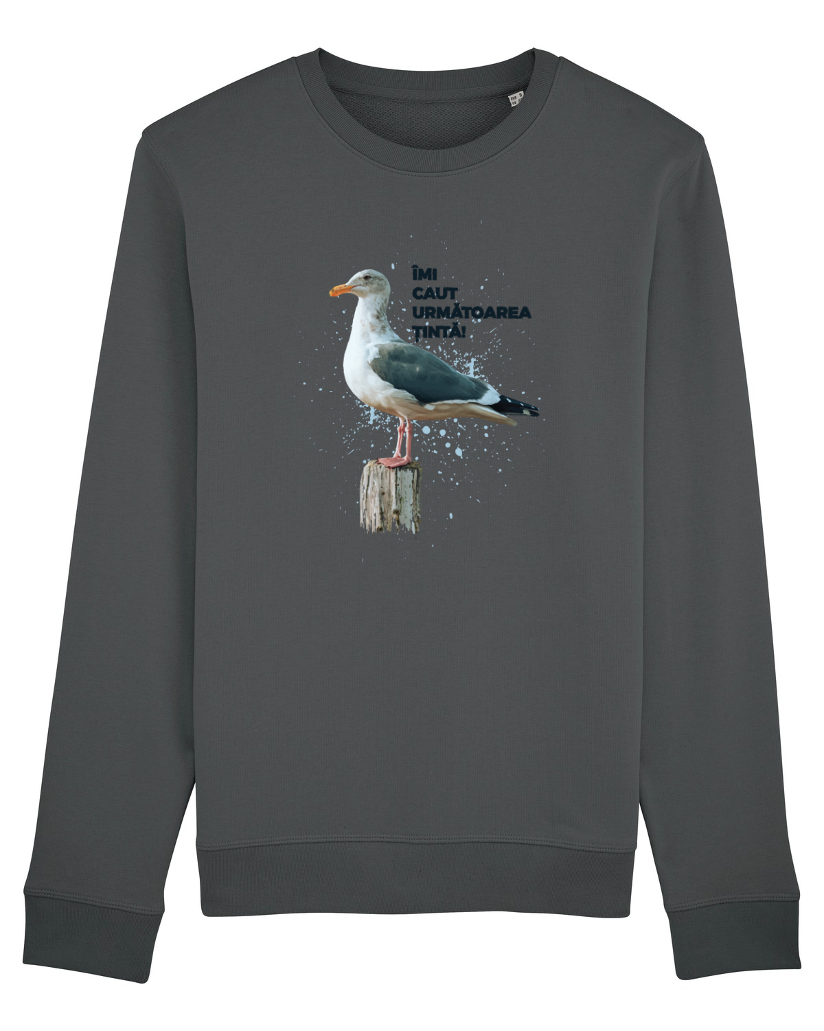 Bluză mânecă lungă Unisex Rise Anthracite