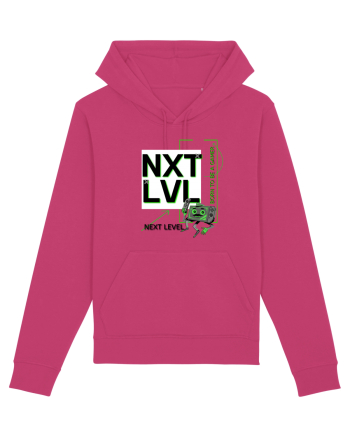 NXT LVL Raspberry