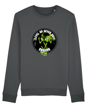 Level Up  Anthracite