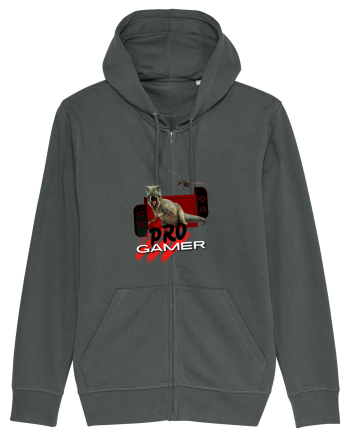 PRO Gamer Anthracite