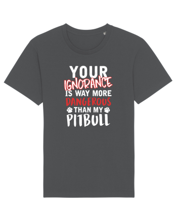 Dangerous Ignorance Anthracite