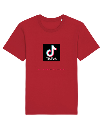 TT Mi-a Mancat Zilele Red
