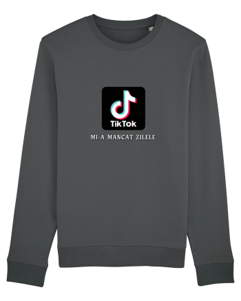 TT Mi-a Mancat Zilele Anthracite