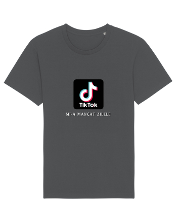 TT Mi-a Mancat Zilele Anthracite