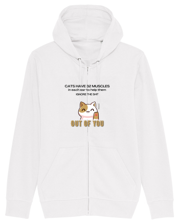Cats Have 32 Muscles White