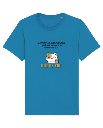 Cats Have 32 Muscles Azur
