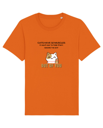 Cats Have 32 Muscles Bright Orange