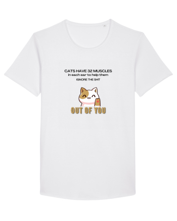 Cats Have 32 Muscles White