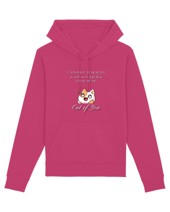 Cats Have 32 Muscles Raspberry