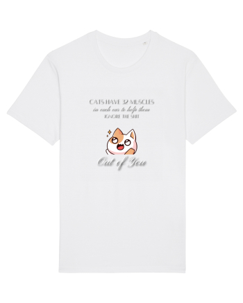 Cats Have 32 Muscles White