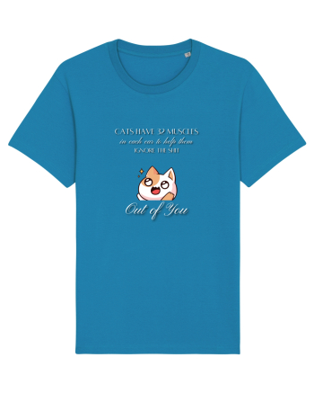 Cats Have 32 Muscles Azur