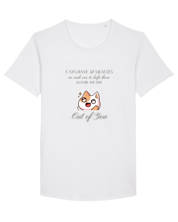 Cats Have 32 Muscles White