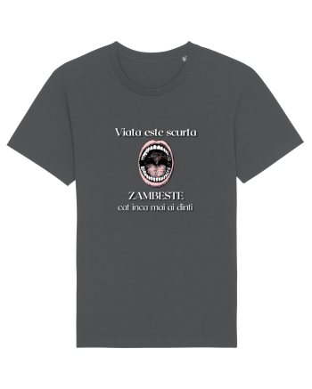 Viata Este Scurta Anthracite