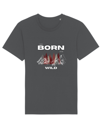 Born Wild Anthracite