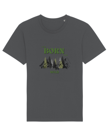 Born Wild Anthracite