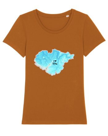 Sălaj County Map Roasted Orange