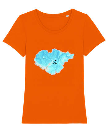 Sălaj County Map Bright Orange