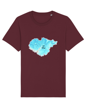Sălaj County Map Burgundy