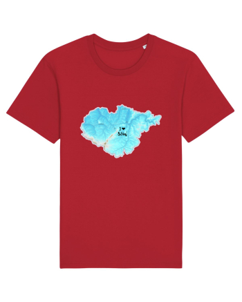 Sălaj County Map Red