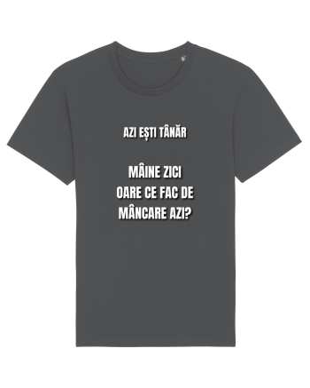 Azi esti tanar maine zici oare ce fac de mancare azi Anthracite