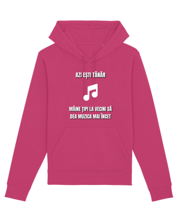 Azi esti tanar maine tipi la vecini sa dea muzica mai incet Raspberry