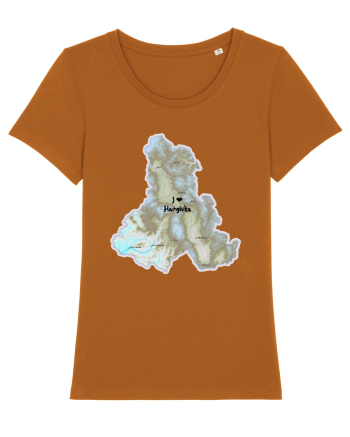 Harghita County Map Roasted Orange
